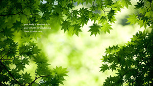 image of leaves "your body is precious it is your vehicle for awakening treat it with care"