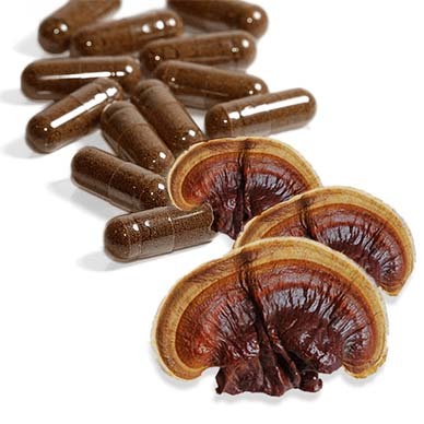 reishi capsules